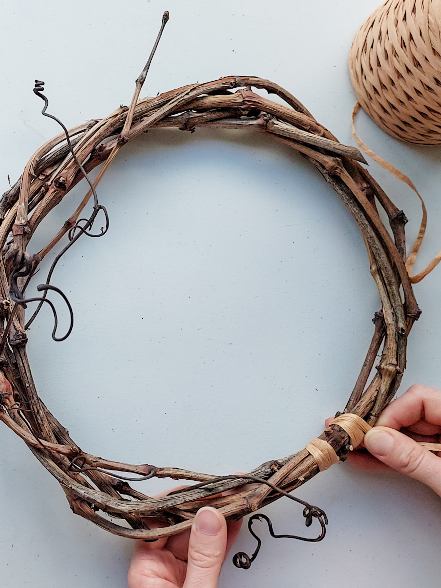 Preparing a grapevine base for wreath making.
