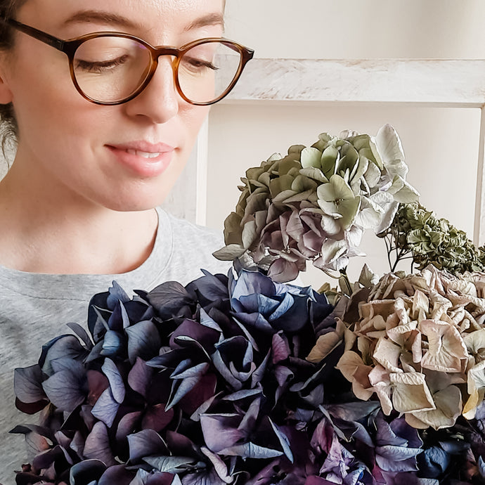 Drying Hydrangea: A Florist’s Insights & Tips | 5 min read