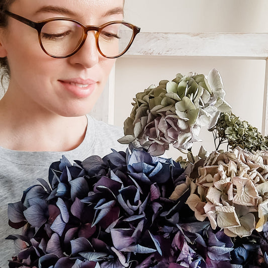 Florist admiring dried hydrangea.