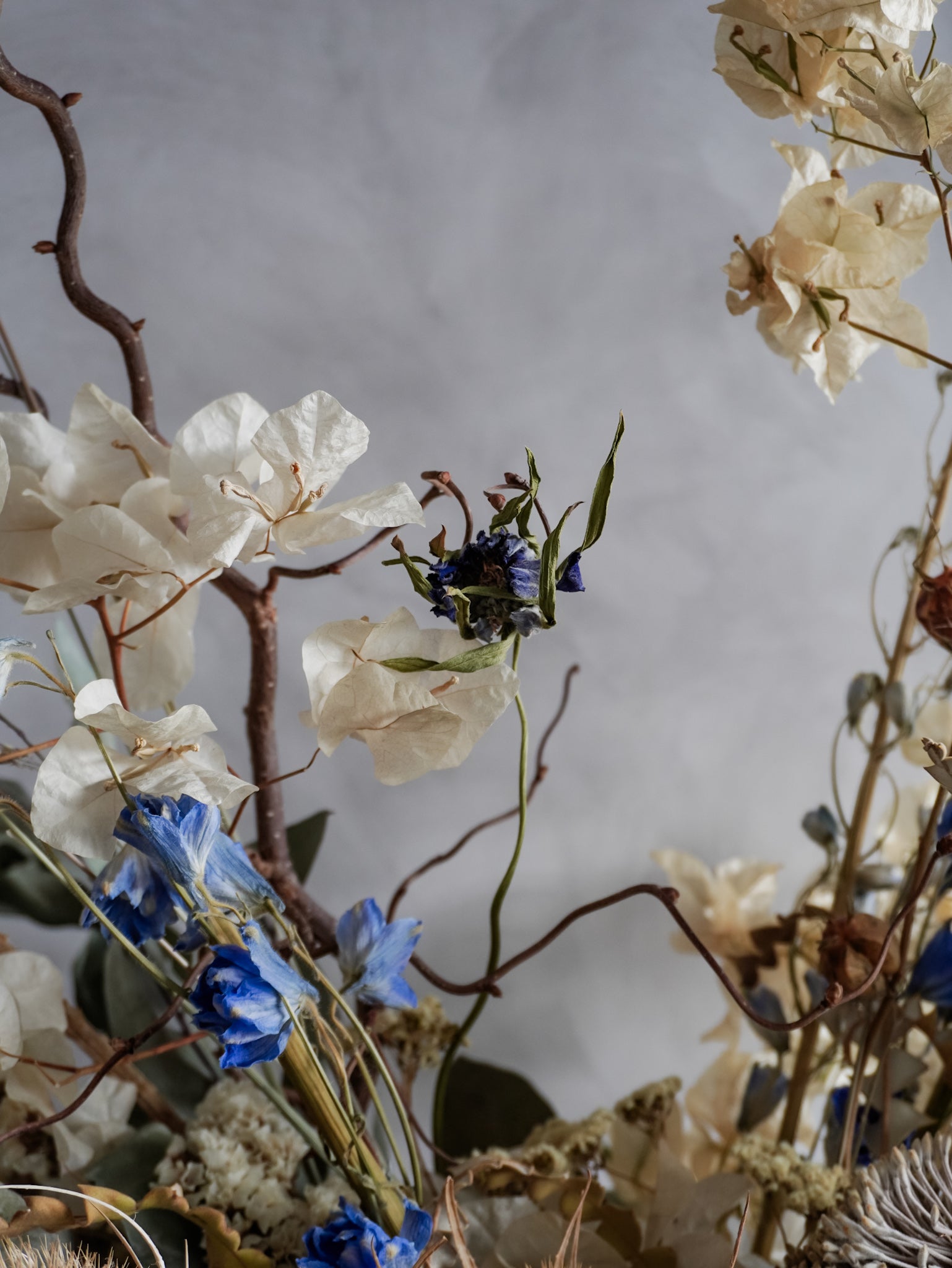 Close-up of dried flowers and branches against a neutral background.